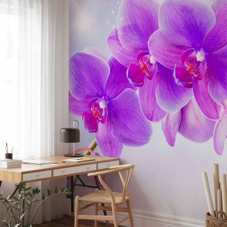 Fioletowe orchidee - motyw kwiatowy na tle z efektem blasku światła
