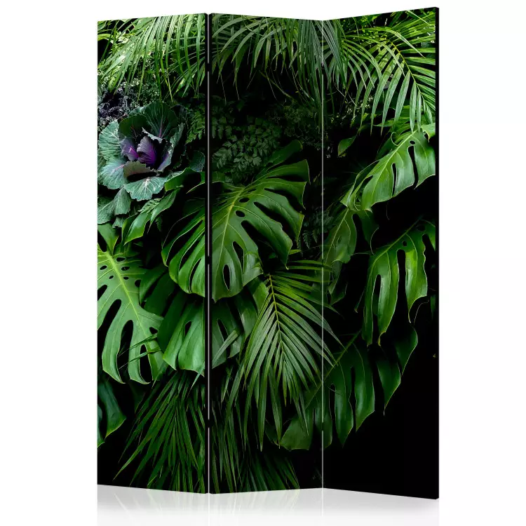 Lasy deszczowe - pejzaż tropikalnych liści monstery na tle dżungli