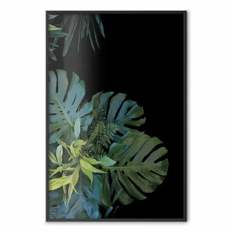 Monstera - botaniczna kompozycja w tropikalne liście na czarnym tle