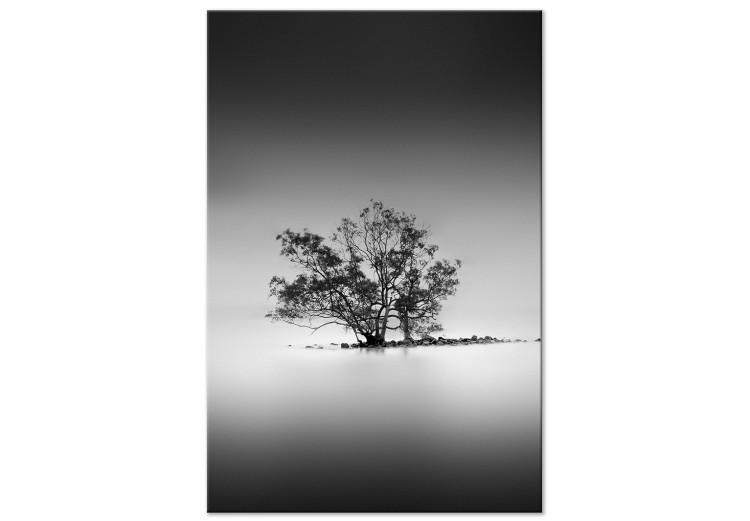Obraz na płótnie Drzewo we mgle (1-częściowy) - pejzaż natury w czarno-białym odcieniu