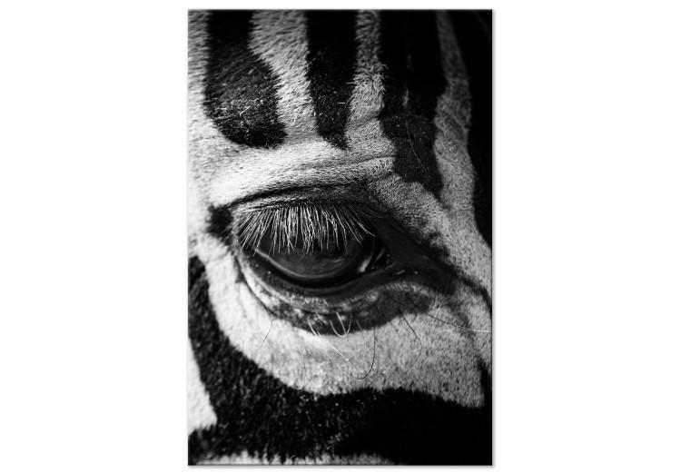 Obraz na płótnie Zwierzę w paski (1-częściowy) - spojrzenie na czarno-białą zebrę