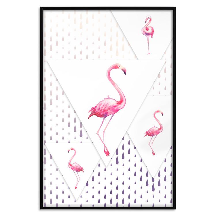 Plakat Rodzina flamingów [Poster]