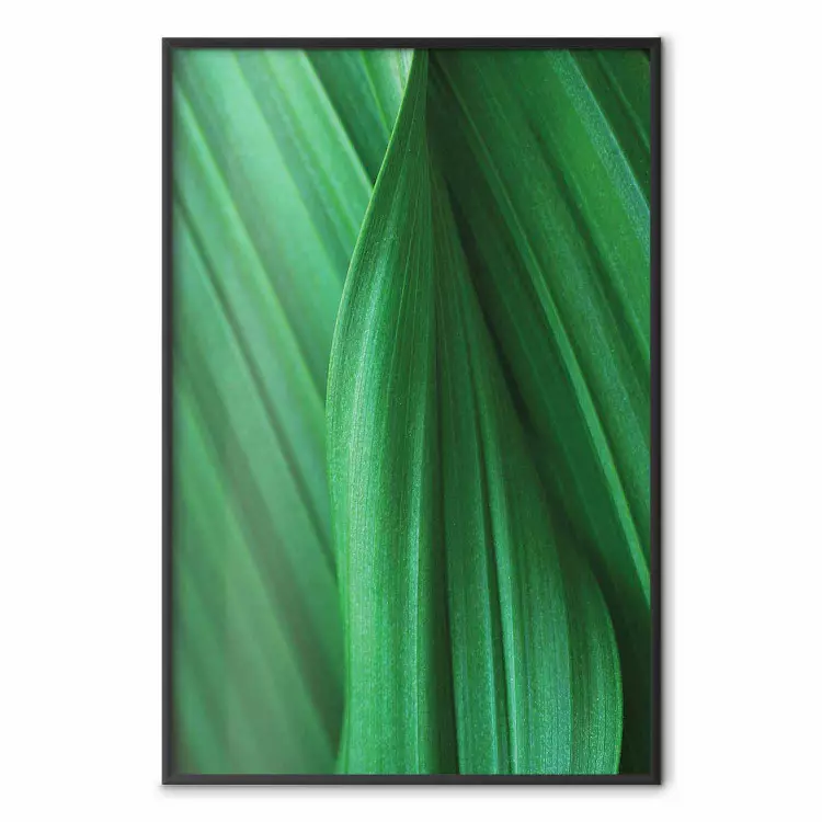 Faktura liścia - kompozycja z motywem roślinnym w kolorze zieleni