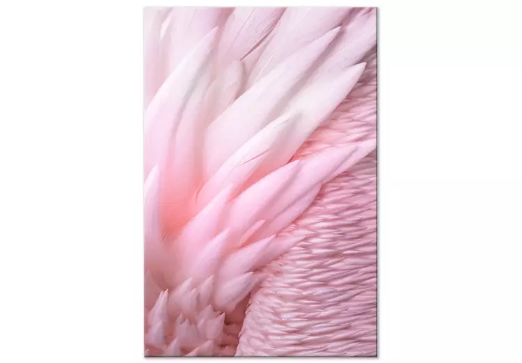 Różowe pióra - delikatność i subtelność wyjątkowej ptasiej natury
