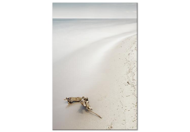 Obraz na płótnie Skandynawskie wybrzeże - spokojne morze i delikatny piasek na plaży