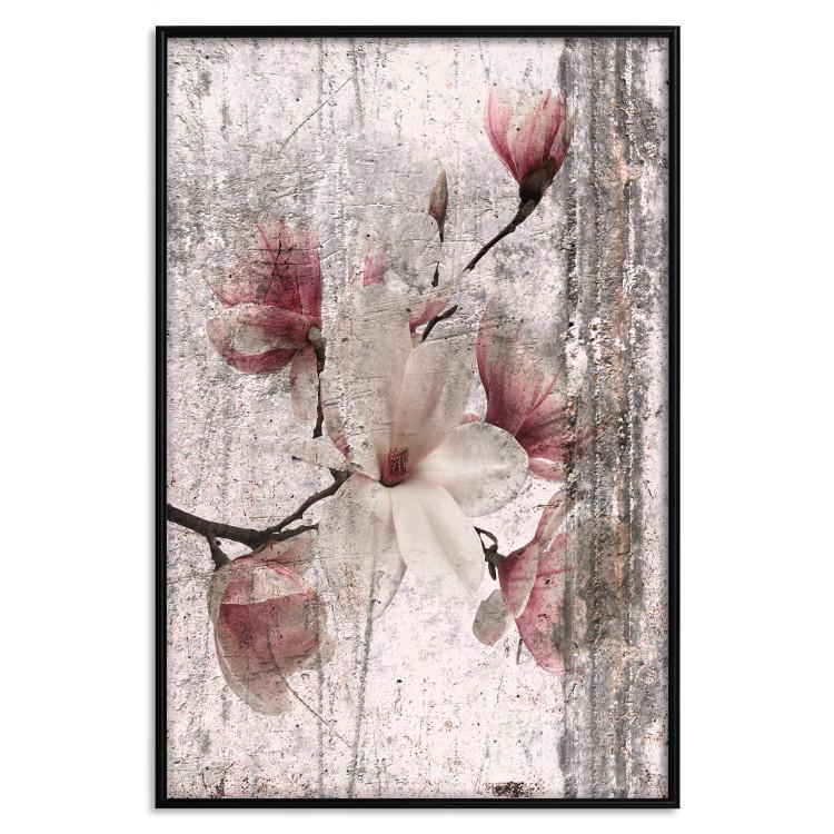 Plakat Pamiątkowa magnolia [Poster]