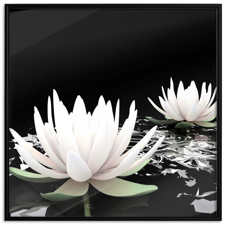 Plakat Kwiaty lotosu [Poster]