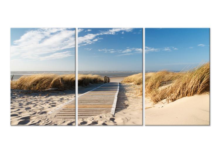 Obraz na płótnie Opuszczona plaża (3-częściowy)