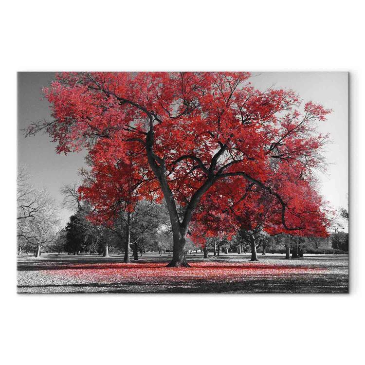 Obraz na płótnie Jesień w parku (1-częściowy) szeroki czerwony