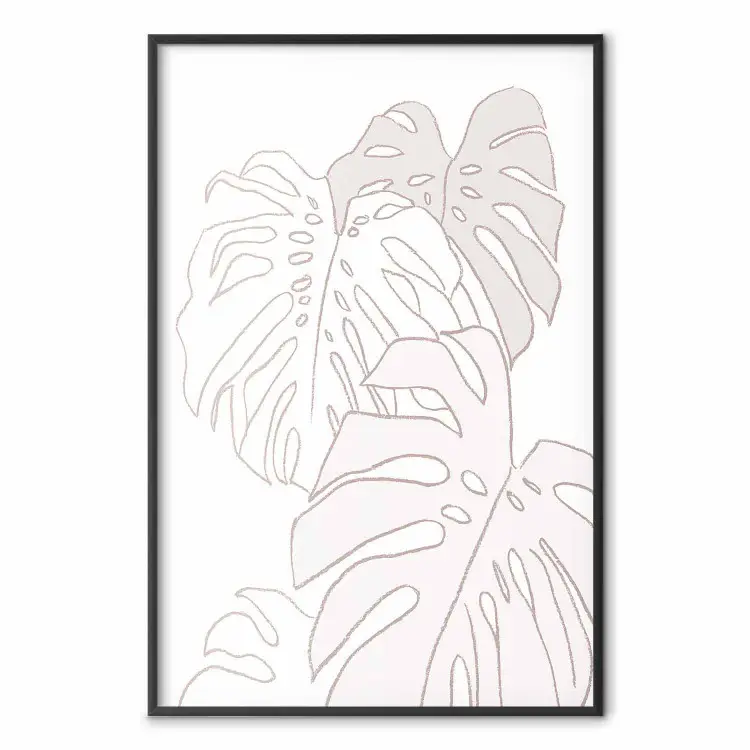 Plakat Kremowa monstera - rolinne szkice kilku lici monstery na biaym  tle na cian - sklep bimago