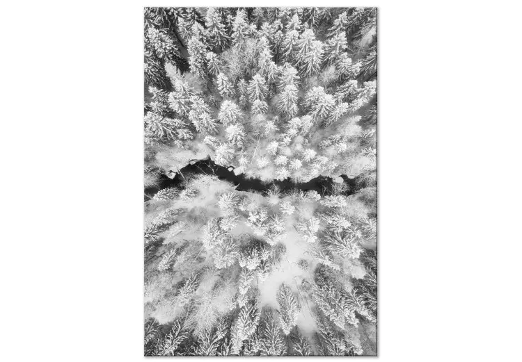 Zimowy las z lotu ptaka - czarno-biała fotografia zimowego pejzażu