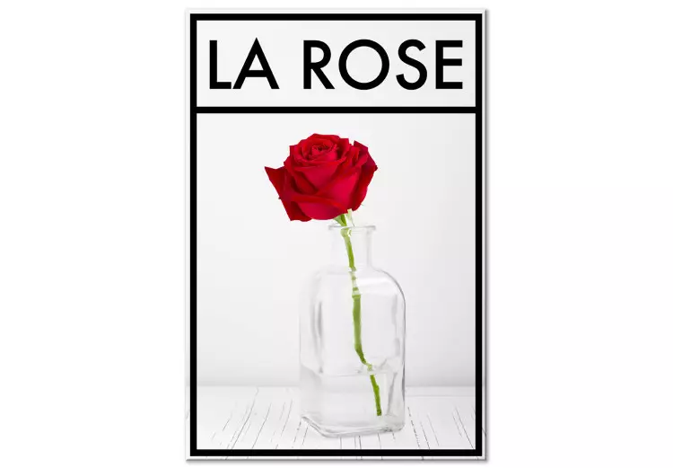 Róża - Intensywnie czerwony kwiat róży w wazonie na blado szarym tle z czarną ramką i napisem w języku francuskim idealny do pokoju lub jadalni