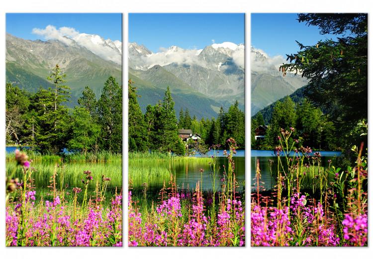 Obraz na płótnie Wiosna w Alpach (3-częściowy)