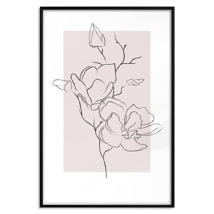 Kremowa magnolia [Poster]