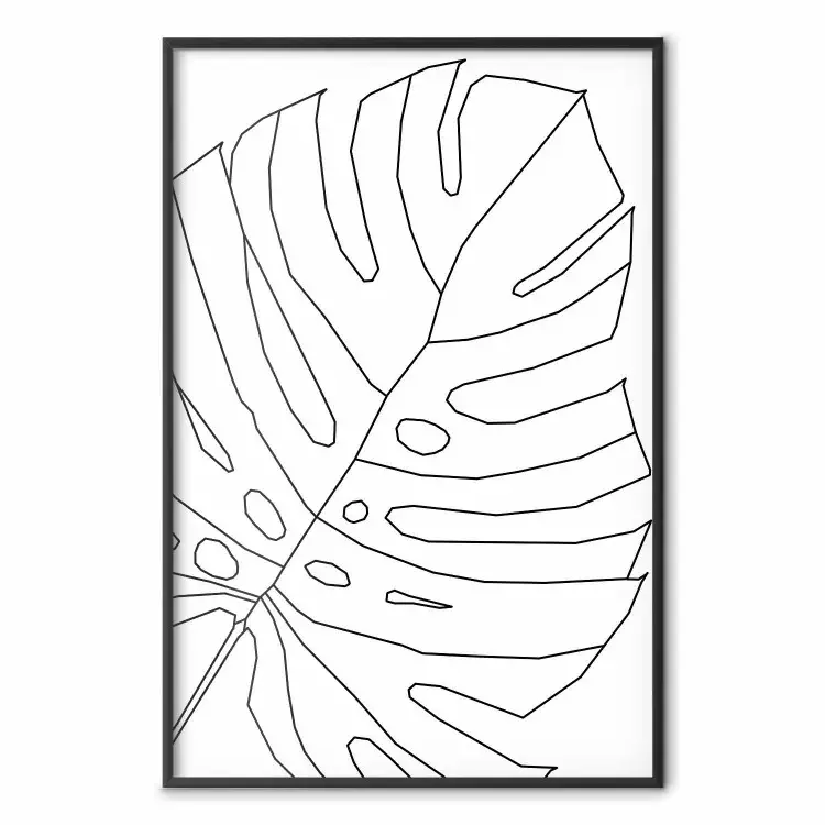 Rysunek monstery - czarno-biały line art liścia monstery na jasnym tle