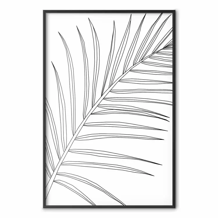 Czarno-biały liść palmowy - czarny line art liścia palmy na białym tle