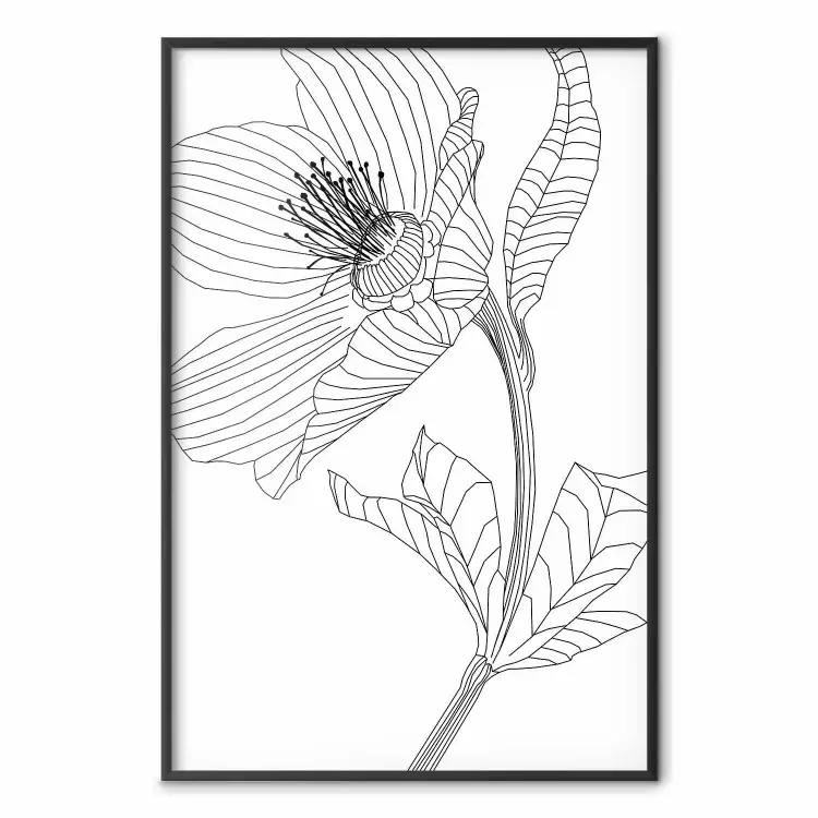 Wiosenny szkic - abstrakcyjny czarny line art rośliny na białym tle