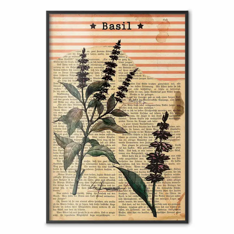 Bazyliowa poezja - vintage kompozycja w rośliny i czarne napisy w tle
