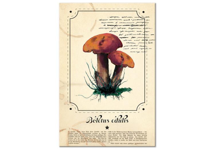Obraz na płótnie Atlas grzybów (1-częściowy) pionowy