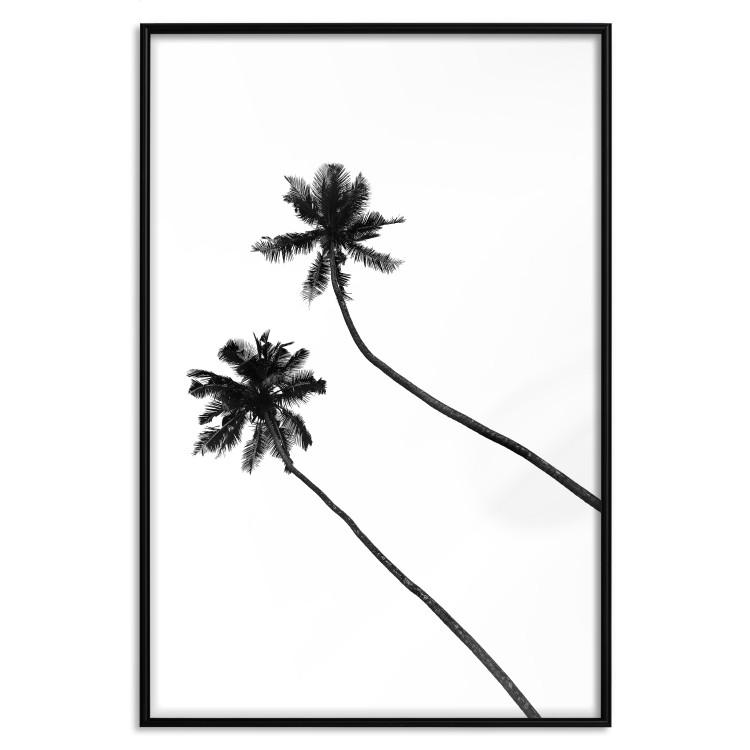 Plakat Samotne palmy [Poster]