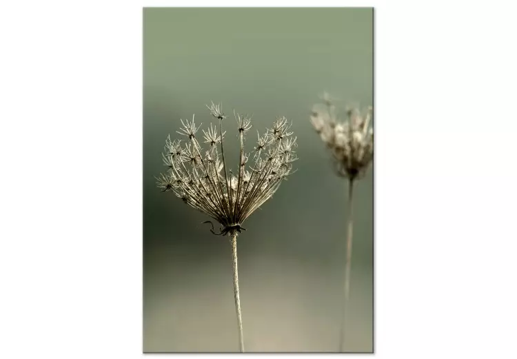 Tęsknota za minionym latem (1-częściowy) pionowy - fotografia kwiatów