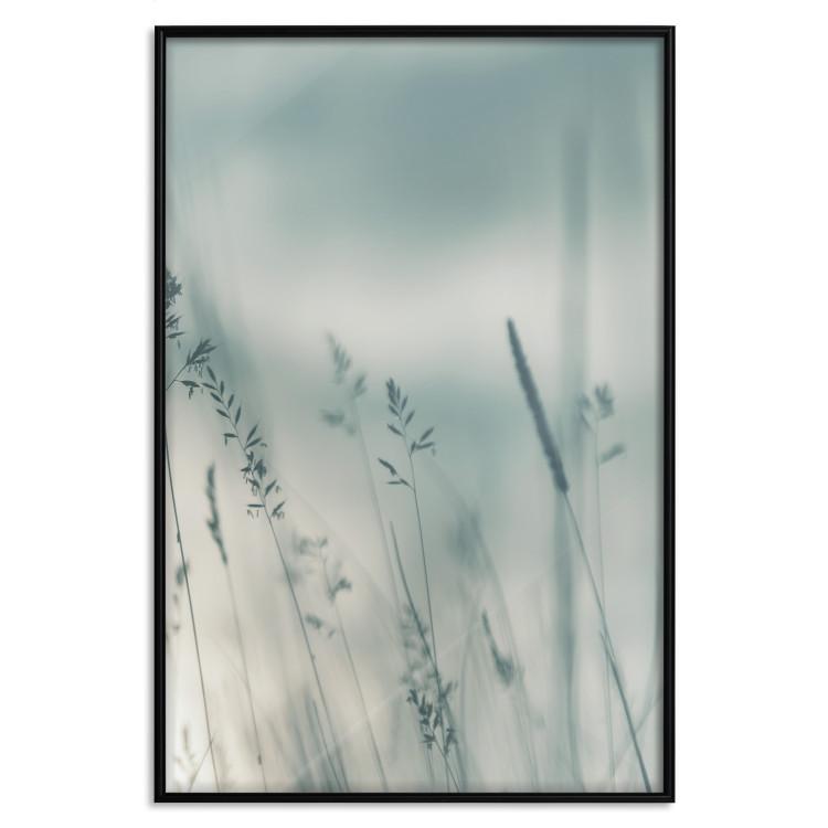 Wysokie trawy [Poster]