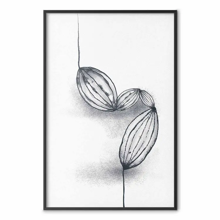 Ziarna kakaowca - line art ziarenek kakao na białym kontrastującym tle