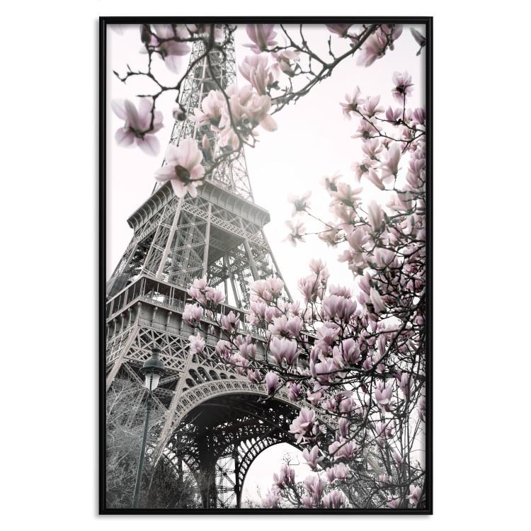 Plakat Magnolie w słońcu Paryża [Poster]