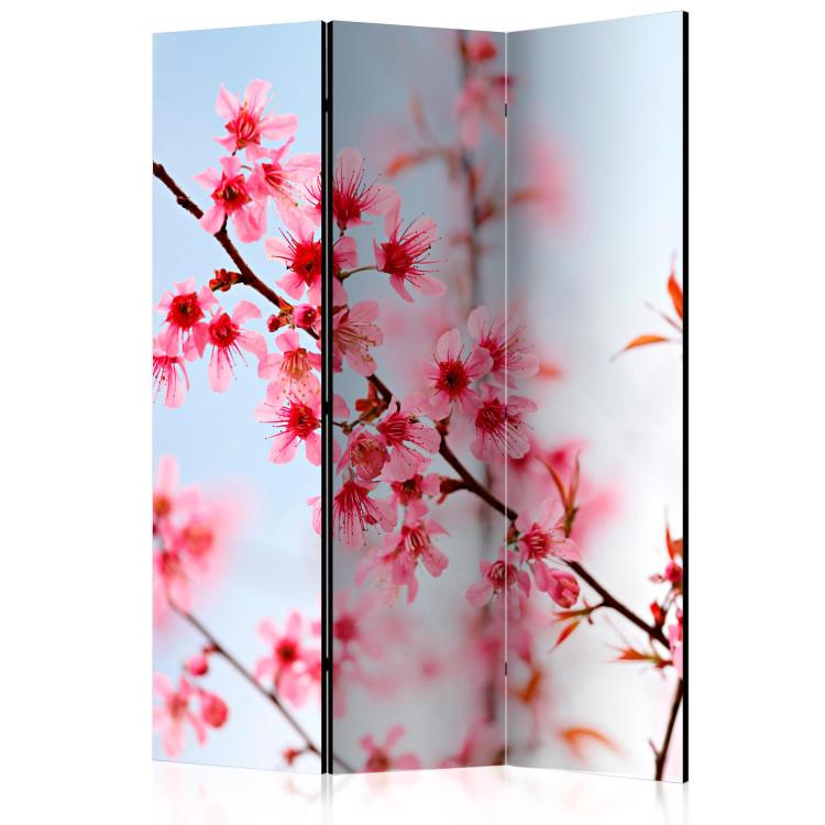 Parawan Symbol Japonii - kwiaty wiśni sakura [Room Dividers]