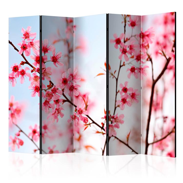 Parawan Symbol Japonii - kwiaty wiśni sakura II [Room Dividers]