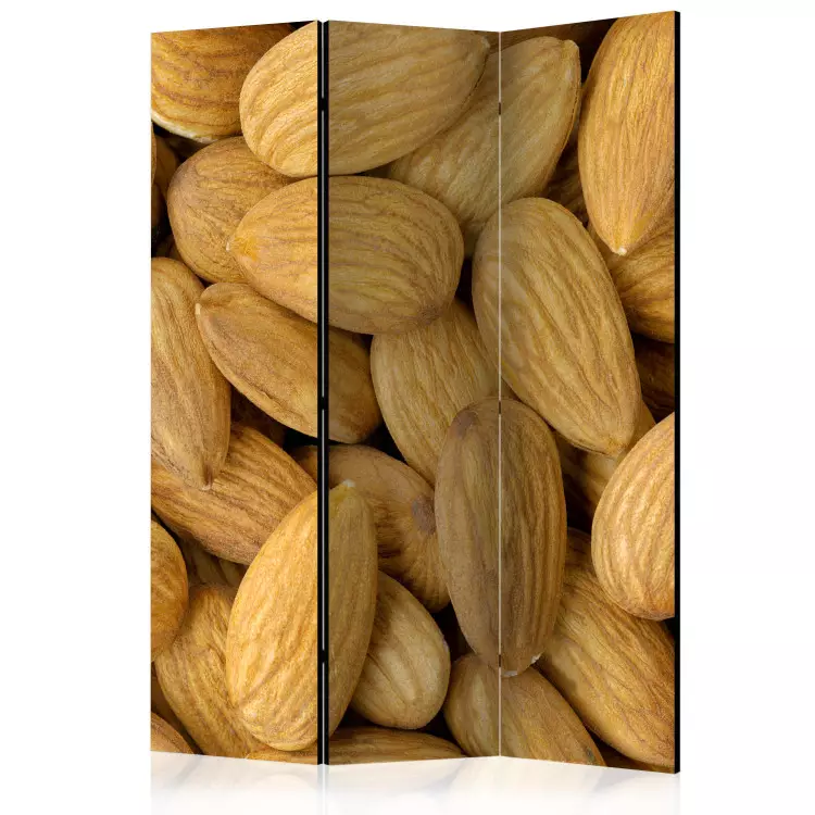 Tasty almonds (3-częściowy) - zbliżenie na brązowe orzechy migdałowca