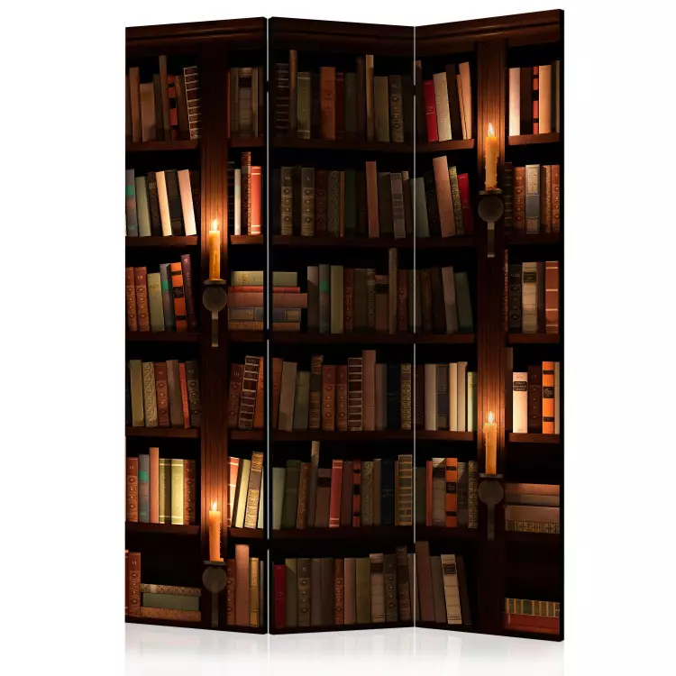 Półki z książkami - kompozycja z drewnianą biblioteczką