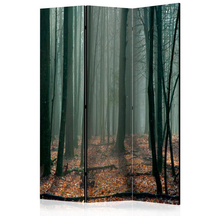 Parawan Witches' forest [Room Dividers]