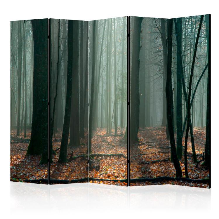 Parawan Witches' forest II [Room Dividers]