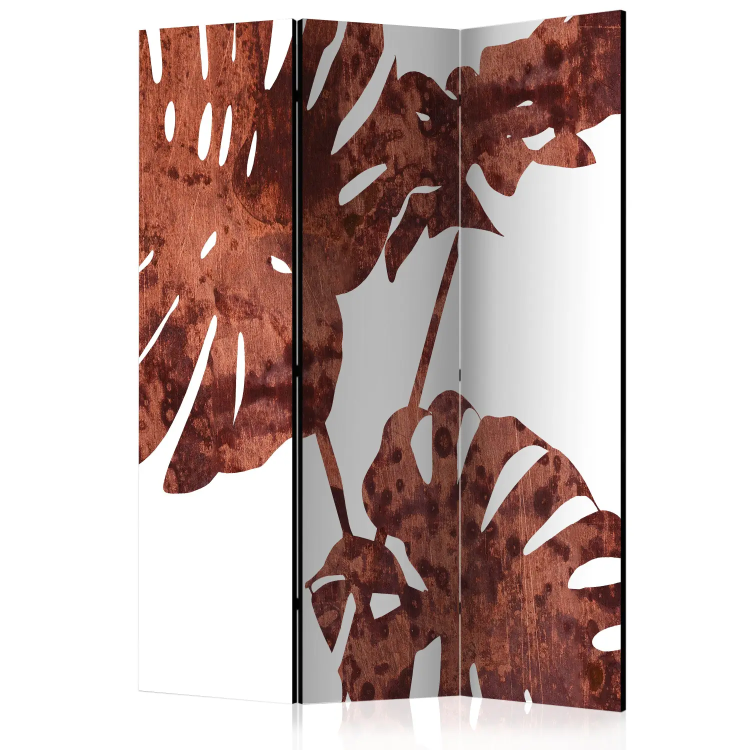 philodendron linnaei Philodendron linnaei aff