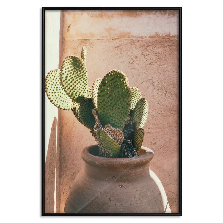 Plakat Kaktus w doniczce [Poster]