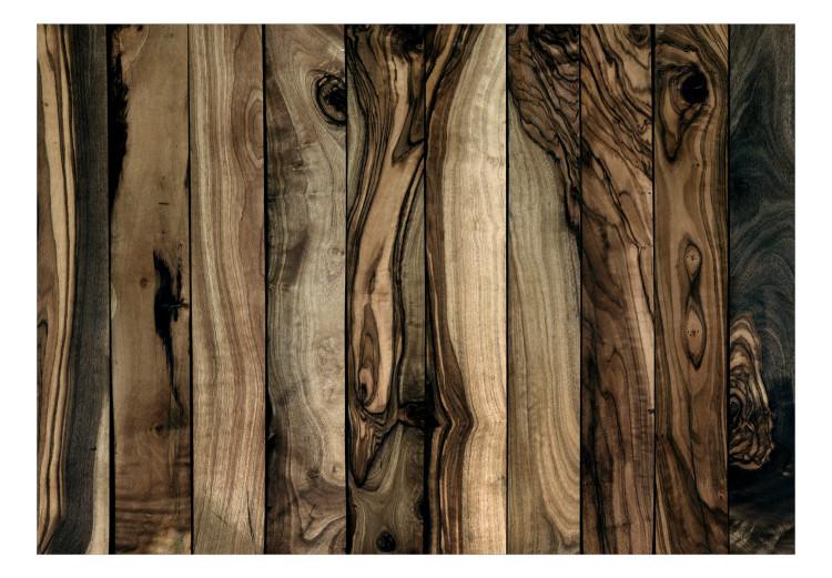 Drzewo oliwne - jednolite tło w deseń drewnianych ciemnych desek
