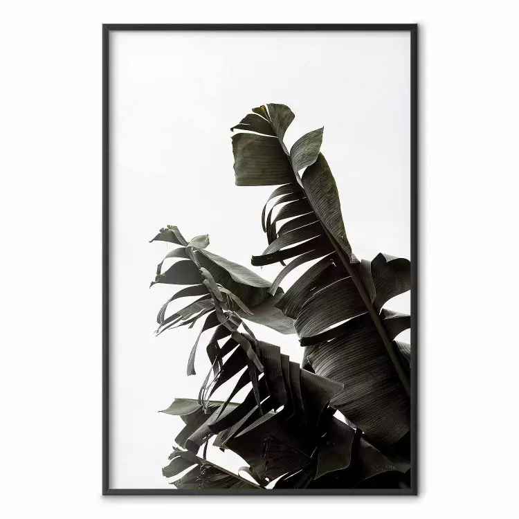 Tropikalny bukiet - naturalna kompozycja zielonych liści na białym tle