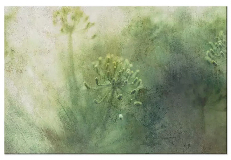 Majowe kwiaty we mgle - grafika z zieloną, dziką roślinnością