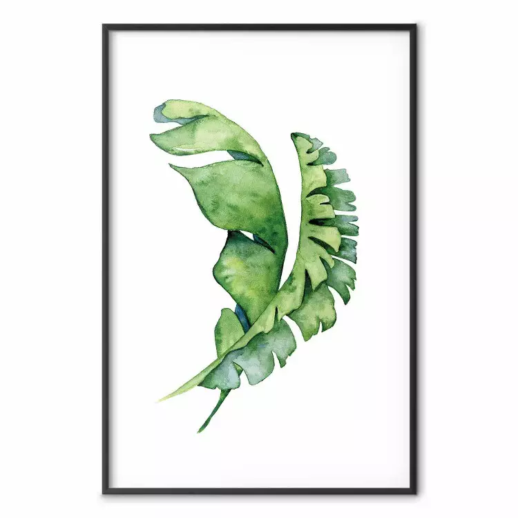 Splecione liście - akwarelowa kompozycja z zieloną rośliną na bieli