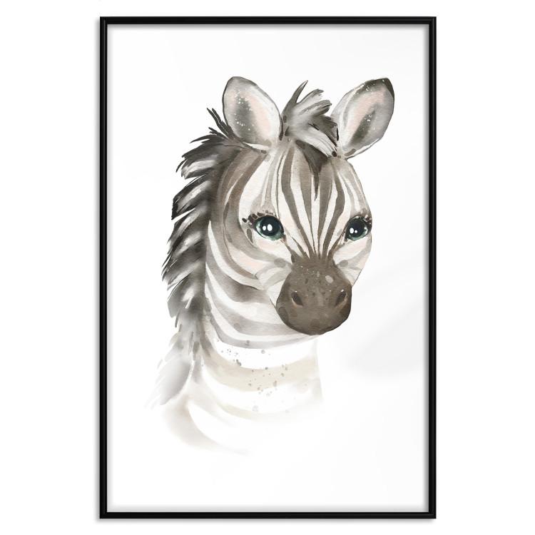Plakat Mała zebra [Poster]