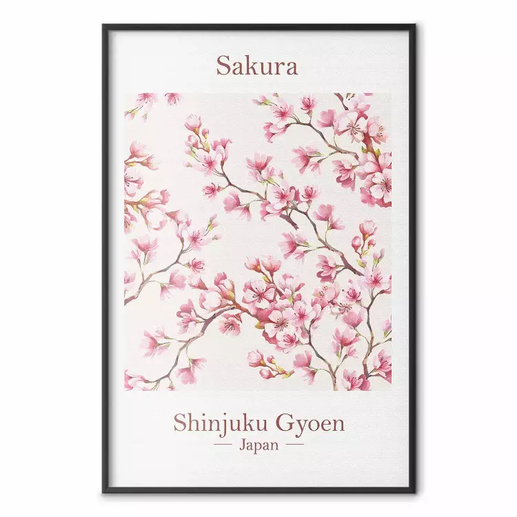 Sakura - napisy po angielsku i japońska roślina z różowymi kwiatami
