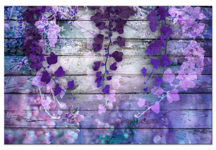 Czar lawendy (1-częściowy) szeroki - fioletowe kwiaty i deski w tle