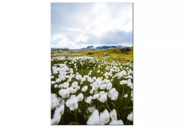 Łąka na północy (1-częściowy) pionowy - wiosenny pejzaż z kwiatami