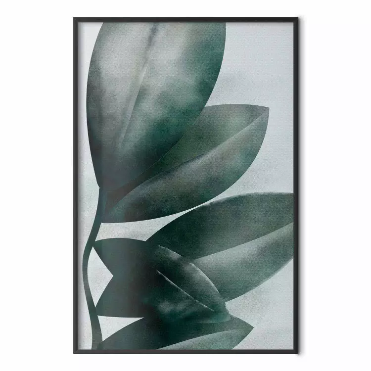 Liście oliwkowca - roślinna kompozycja zielonych liści na jasnym tle