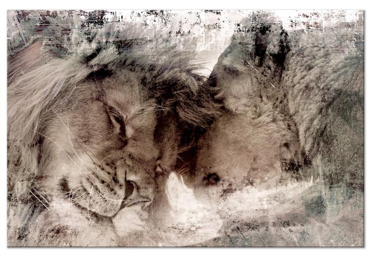 Obraz na płótnie Lwy - Zwierzęta w miłosnej i zmysłowej harmonii w neutralnych kolorach