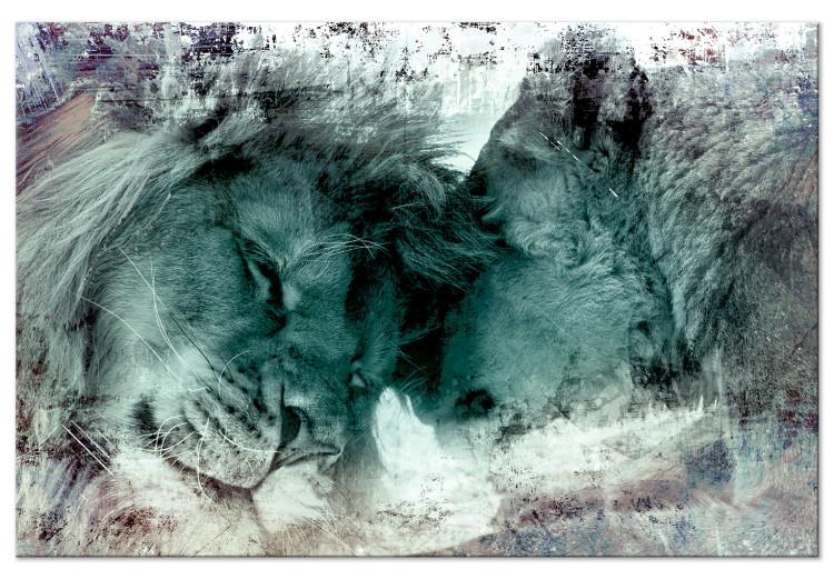 Obraz na płótnie Lwy - zwierzęta w miłosnej i zmysłowej harmonii w chłodnych kolorach