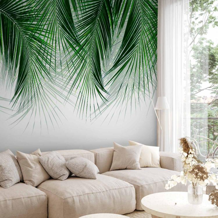 Fototapeta Pod tropikalną rośliną - rozłożyste gałązki palmy z zielonymi liśćmi
