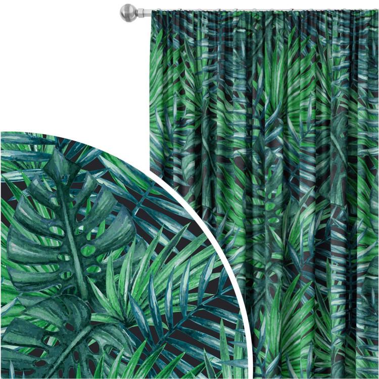 Palmy i liście - botaniczna kompozycja z monsterą w odcieniach zieleni
