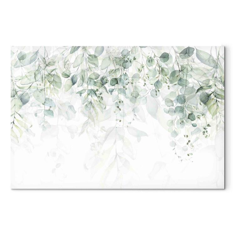 Obraz na płótnie Delikatny dotyk natury - rośliny w pastelowych delikatnych zieleniach na białym tle